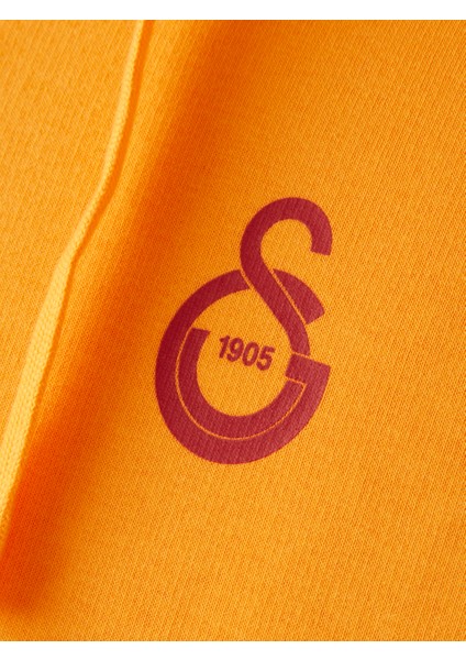 Galatasaray Puma Fermuarlı Kapüşonlu Sweatshirt 78291006