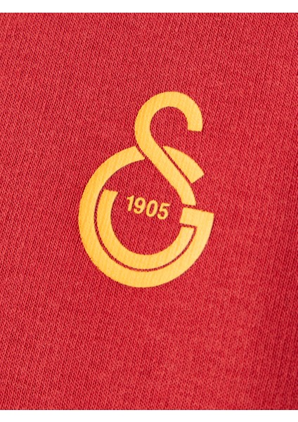 Galatasaray Puma Çocuk Fermuarlı Kapüşonlu Sweatshirt 78291501 fırsatları