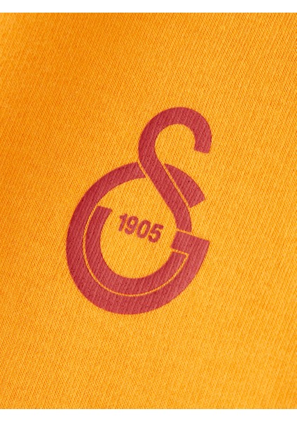 Galatasaray Puma Kapüşonlu Sweatshirt 78290806 modelleri