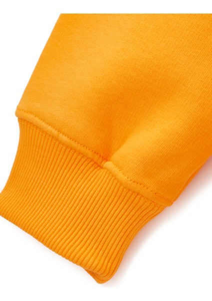 Galatasaray Puma Kapüşonlu Sweatshirt 78290806