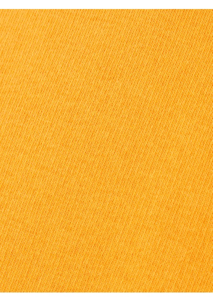 Galatasaray Puma Kapüşonlu Sweatshirt 78290806