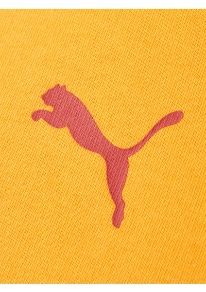 Galatasaray Puma Kapüşonlu Sweatshirt 78290806