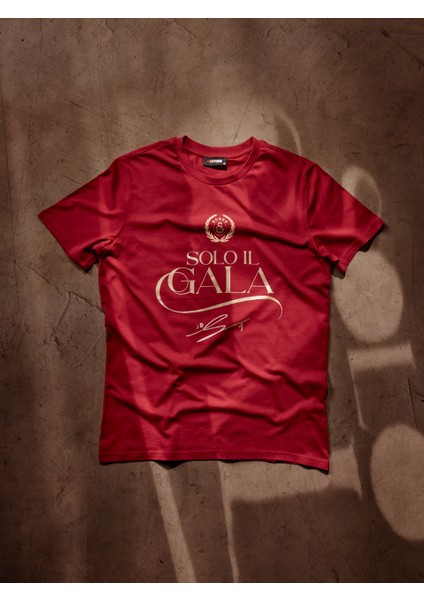 Galatasaray Solo Il Gala Çocuk T-Shirt C251550 fiyatları
