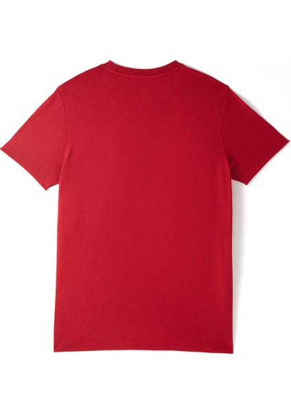 Galatasaray Solo Il Gala Çocuk T-Shirt C251550 fırsatları