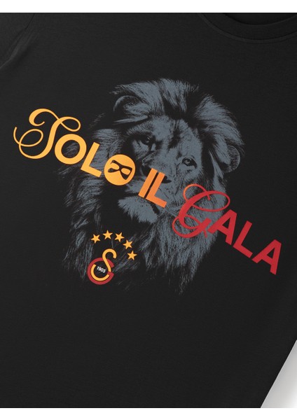 Galatasaray Solo Il Gala Aslan Çocuk T-Shirt C251551 modelleri