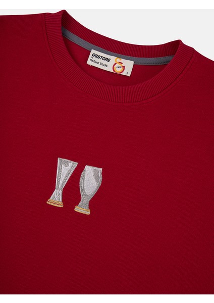 Gsstore x Reflect Studio Uefa Kupa Sweatshirt E251263 fırsatları