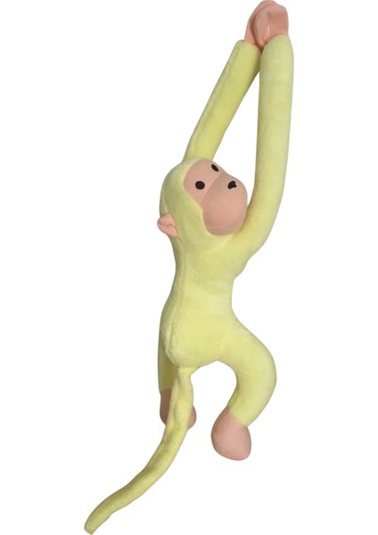 Kucaklayan Sevimli Maymun