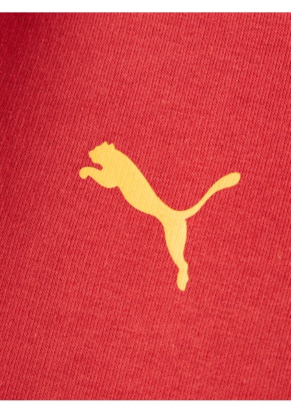 Galatasaray Puma Çocuk Kapüşonlu Sweatshirt 78291401 indirimleri