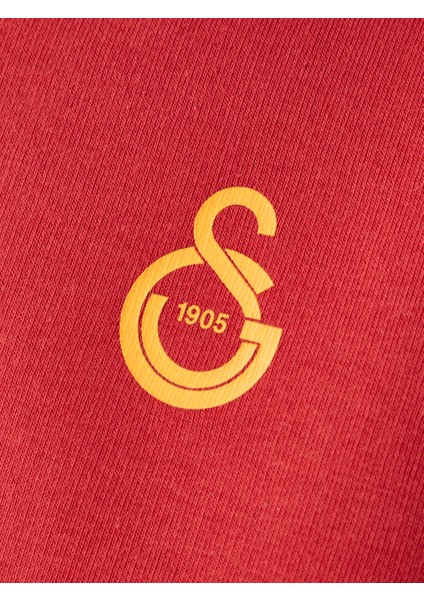 Galatasaray Puma Çocuk Kapüşonlu Sweatshirt 78291401