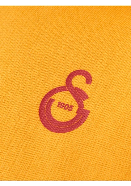 Galatasaray Puma Çocuk Fermuarlı Kapüşonlu Sweatshirt 78291506