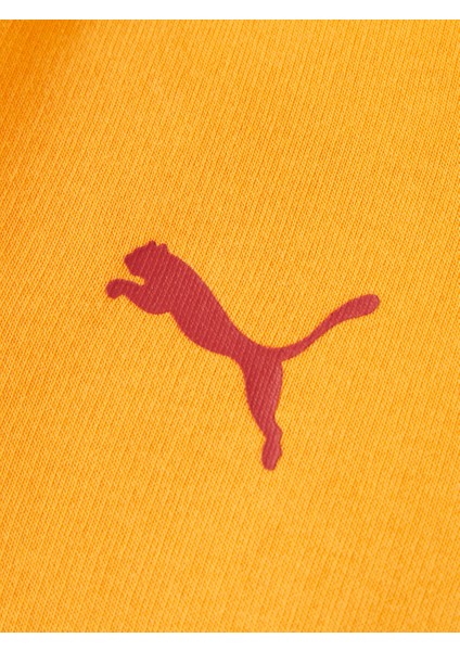 Galatasaray Puma Çocuk Fermuarlı Kapüşonlu Sweatshirt 78291506
