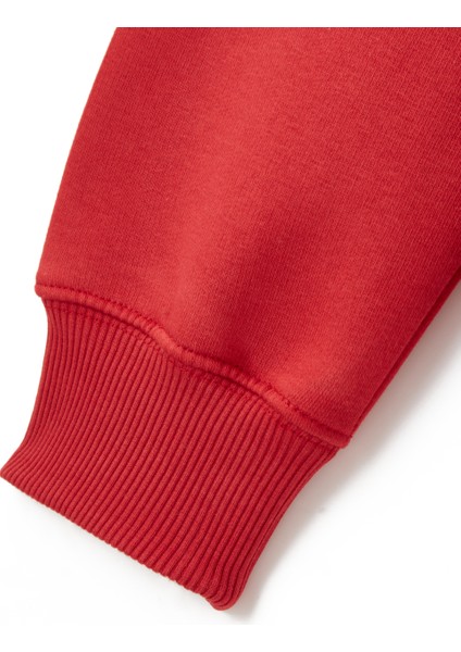 Galatasaray Puma Kapüşonlu Sweatshirt 78290801 fırsatları