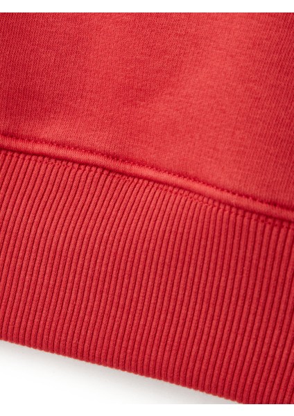 Galatasaray Puma Kapüşonlu Sweatshirt 78290801