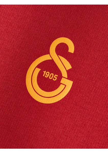Galatasaray Puma Kapüşonlu Sweatshirt 78290801