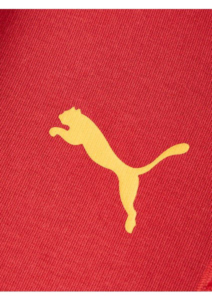 Galatasaray Puma Fermuarlı Kapüşonlu Sweatshirt 78291001 indirimleri