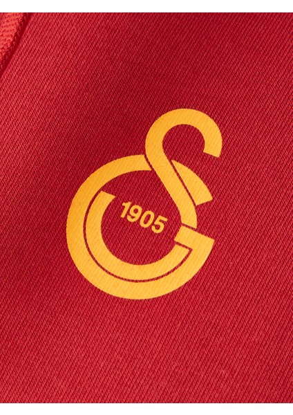 Galatasaray Puma Fermuarlı Kapüşonlu Sweatshirt 78291001