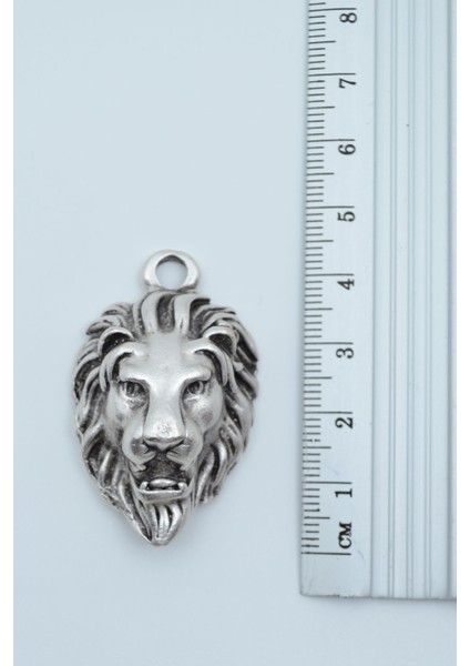 Aslan Gümüş Kaplama Deri İp Kolye modelleri