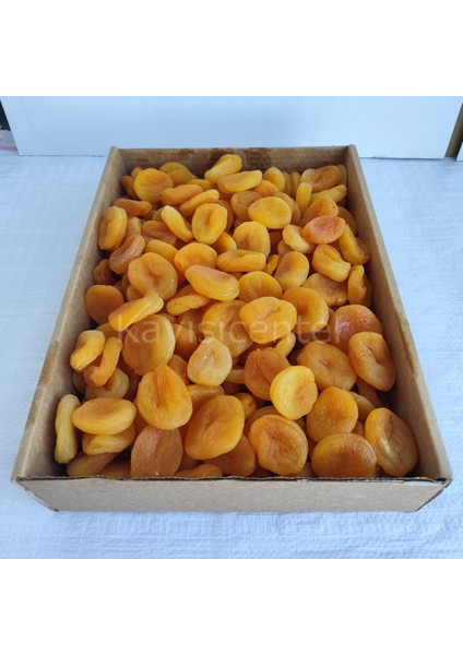 Ekstra Jumbo Sarı Kayısı 10KG modelleri