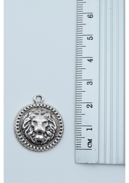 Minimal Aslan Madalyon Gümüş Kaplama Deri Ip Kolye modelleri