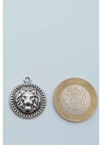 Minimal Aslan Madalyon Gümüş Kaplama Deri Ip Kolye fırsatları