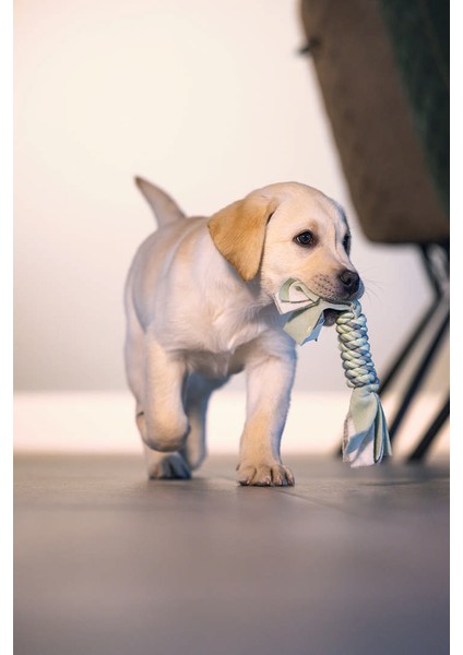 Techmrt Beeztees Stres Ipi 25 cm modelleri