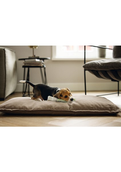 Techmrt Beeztees Stres Ipi 25 cm fırsatları