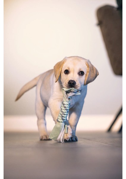 Techmrt Beeztees Stres Ipi 25 cm indirimleri