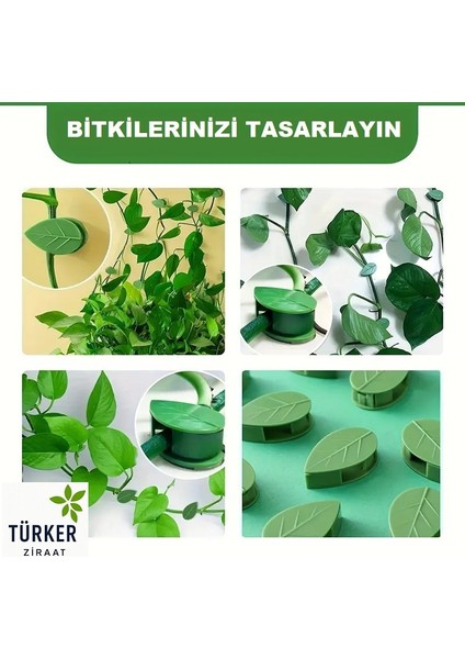 5'li Doğal Yaprak Tasarımlı Duvar Bitki ve Kablo Klipsleri
