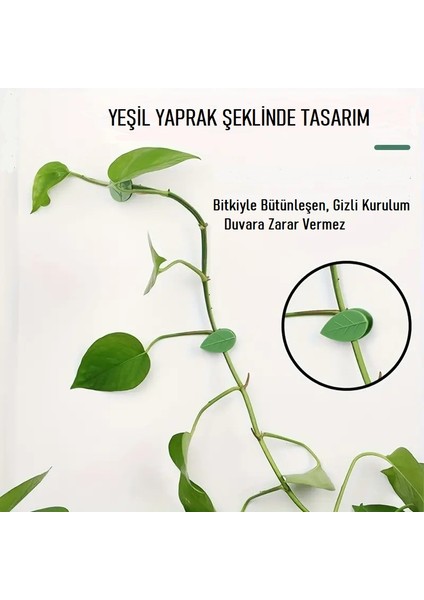 5'li Doğal Yaprak Tasarımlı Duvar Bitki ve Kablo Klipsleri fiyatları