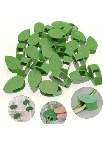 5'li Doğal Yaprak Tasarımlı Duvar Bitki ve Kablo Klipsleri modelleri