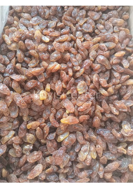 Besni Üzüm 10 kg fiyatları