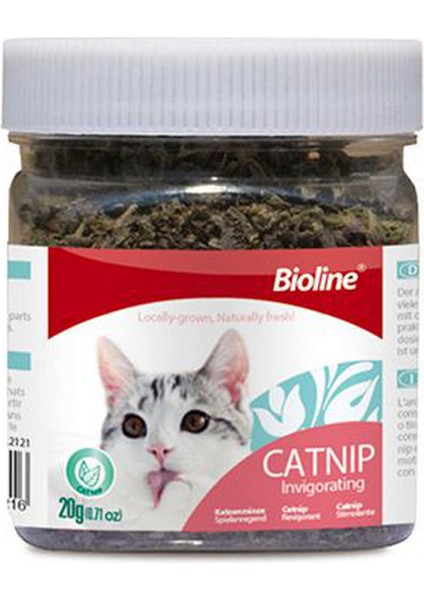 Techmrt Bioline Catnip Kedi Otu 20 gr