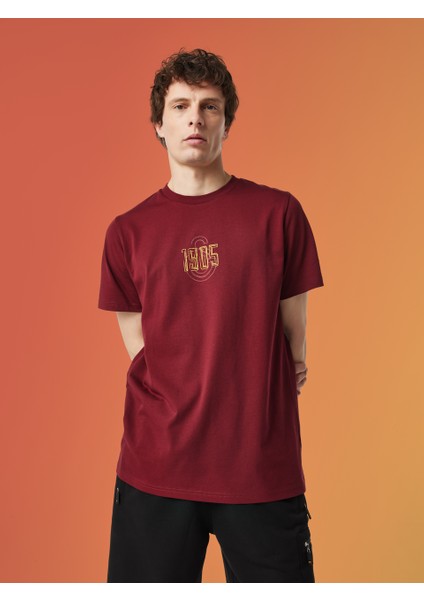 Galatasaray Erkek T-Shirt E251059