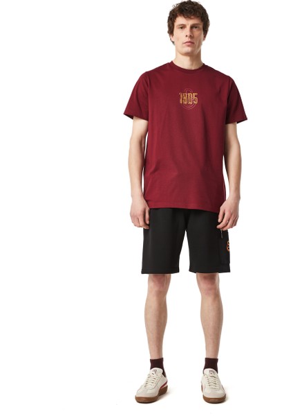 Galatasaray Erkek T-Shirt E251059 fiyatları