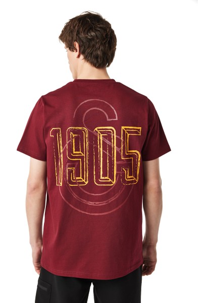 Galatasaray Erkek T-Shirt E251059 modelleri