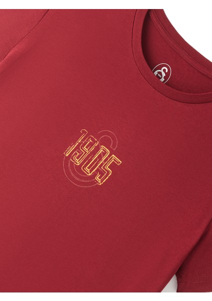 Galatasaray Erkek T-Shirt E251059 indirimleri