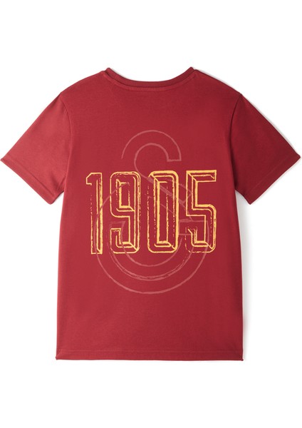 Galatasaray Erkek T-Shirt E251059