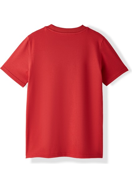 Galatasaray Puma Çocuk T-Shirt 78291301 fiyatları