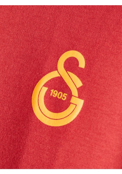 Galatasaray Puma Çocuk T-Shirt 78291301 modelleri