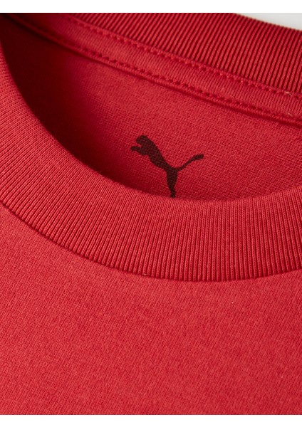 Galatasaray Puma Çocuk T-Shirt 78291301 fırsatları