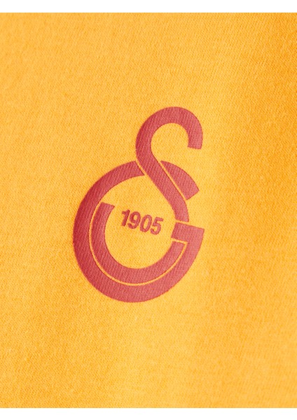 Galatasaray Puma Çocuk T-Shirt 78291306