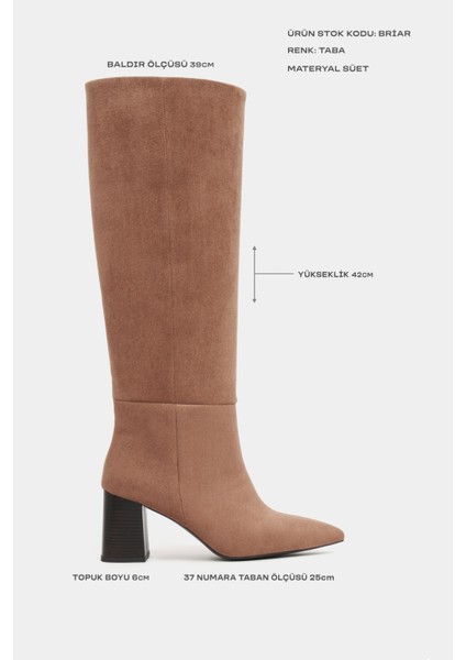 Briar Taba Süet Sivri Burun Kadın Topuklu Çizme modelleri