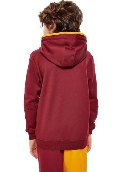 Galatasaray Fermuarlı Çocuk Hoodie C251033 modelleri
