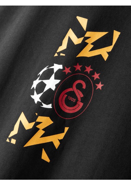 Galatasaray Ucl Erkek T-Shirt E252216 modelleri