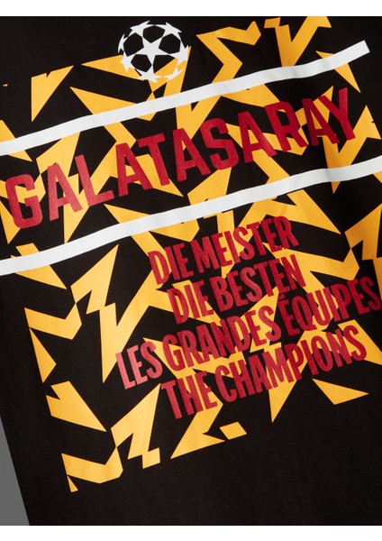 Galatasaray Ucl Erkek T-Shirt E252216 indirimleri