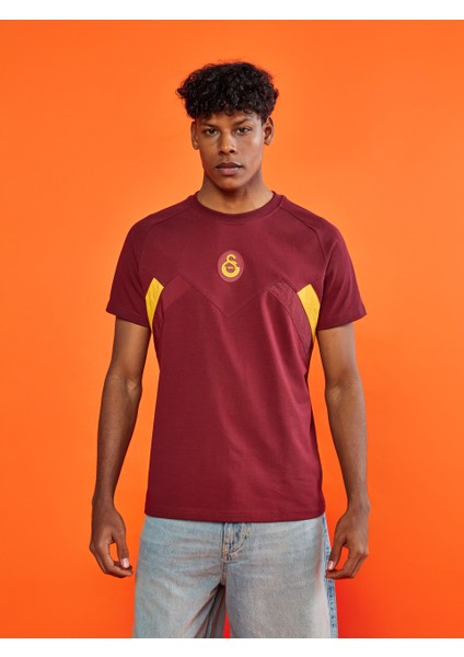 Galatasaray Erkek T-Shirt E251110