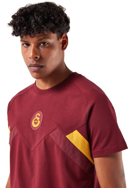 Galatasaray Erkek T-Shirt E251110 fiyatları