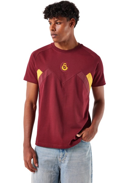 Galatasaray Erkek T-Shirt E251110 modelleri