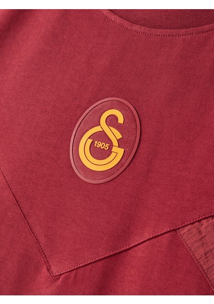 Galatasaray Erkek T-Shirt E251110