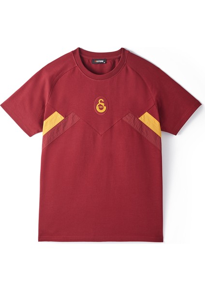 Galatasaray Erkek T-Shirt E251110